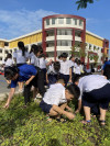 Trường TH Định Hòa 2 tổ chức  tổng lao động vệ sinh trường lớp chào đón Tết Dương lịch 2024