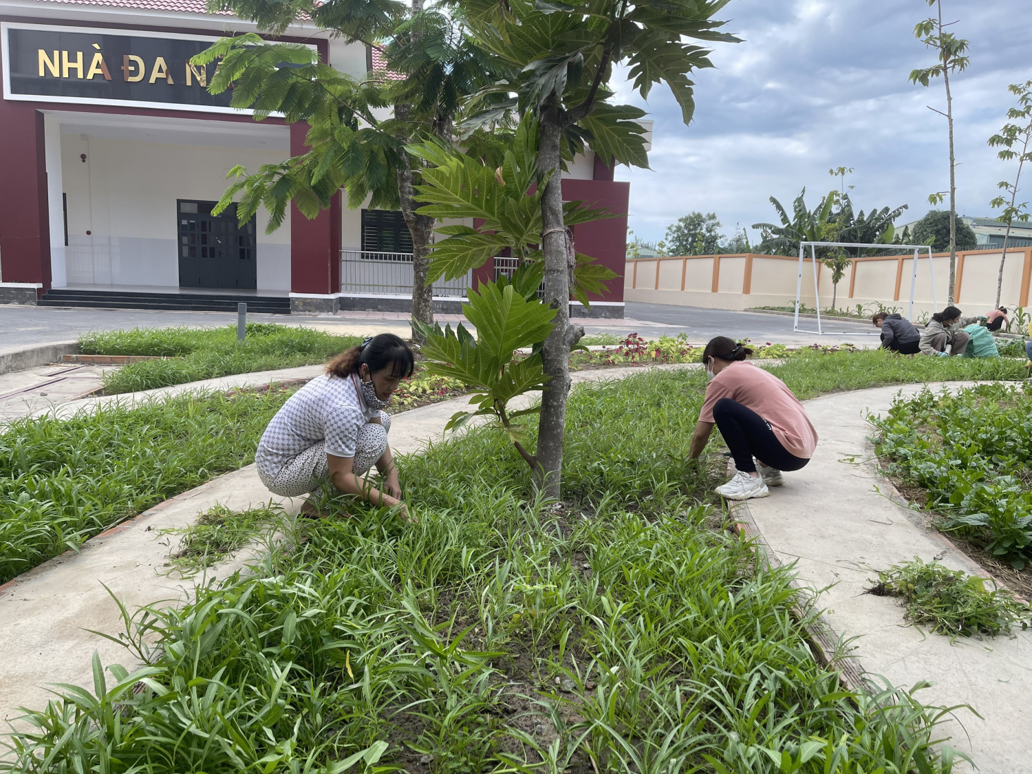 Trường Tiểu học Định Hòa 2 lao động sau Tết